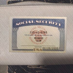 Illinois Social Security Card Template