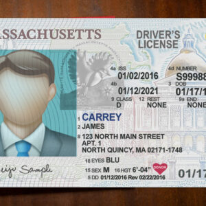 Massachusetts Driver License Template