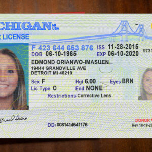 Michigan Driver License Template