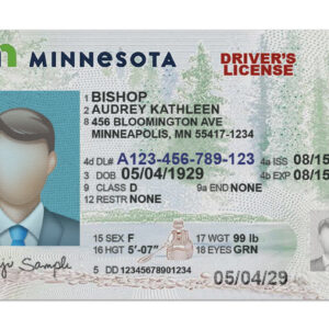 Minnesota Driver License Template