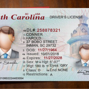 South Carolina Driver License Template
