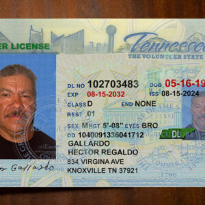 Tennessee Driver License Template