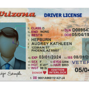 Arizona Driver License Template