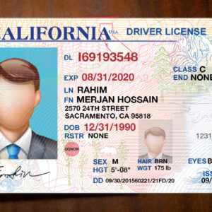 California Driver License Template