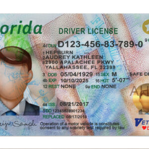 Florida Driving License Template
