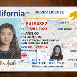 California Driver License Template old