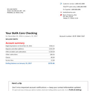 Bank Statement Bank of America Statement Free Download