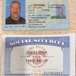 SSN Card and Drivers License Template PSD