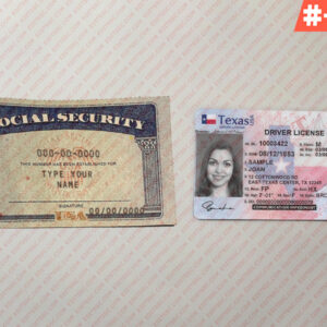Editable Drivers License and SSN Card Template PSD